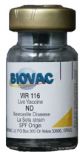 Vir-116, b ND Lasota (500 Doses)