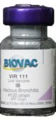 Vir-111, IB (Infectious Bronchitis) H120 - (1000 Doses)